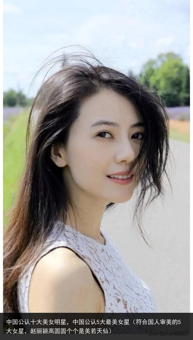 中国公认十大美女明星，中国公认5大最美女星（符合国人审美的5大女星，赵丽颖高圆圆个个是美若天仙） 美女明星 美女 大美女 大美 十大美女 十大 公认 国公 中国公 中国 百科资讯 第3张